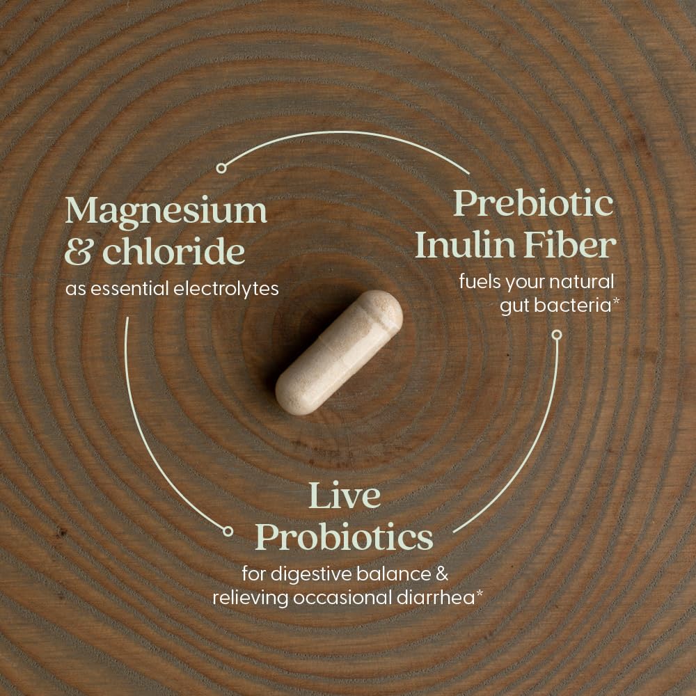 New Chapter All-Flora Probiotic Flora Fortify, Ultra-Concentrated Probiotics for Digestive Health, Survives Antibiotic Use, with Electrolytes + Inulin Prebiotic Fiber, 100% Vegan, 14-Day Supply - Image 3