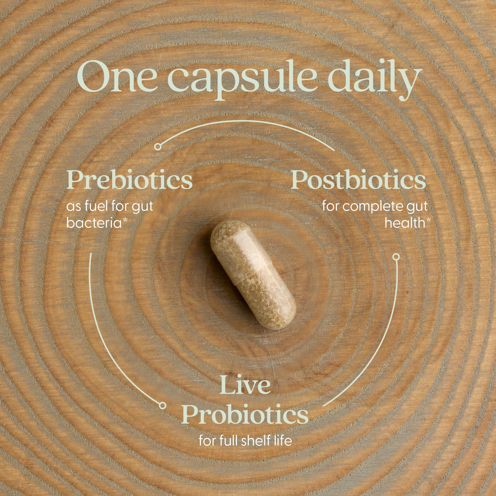 New Chapter All-Flora Probiotic for Advanced Digestion & Complete Gut Health with Prebiotics + Postbiotics, Clinical-Strength Strains, 100% Vegetarian, Non-GMO, Shelf Stable - 60 ct (2 Month Supply) - Image 4