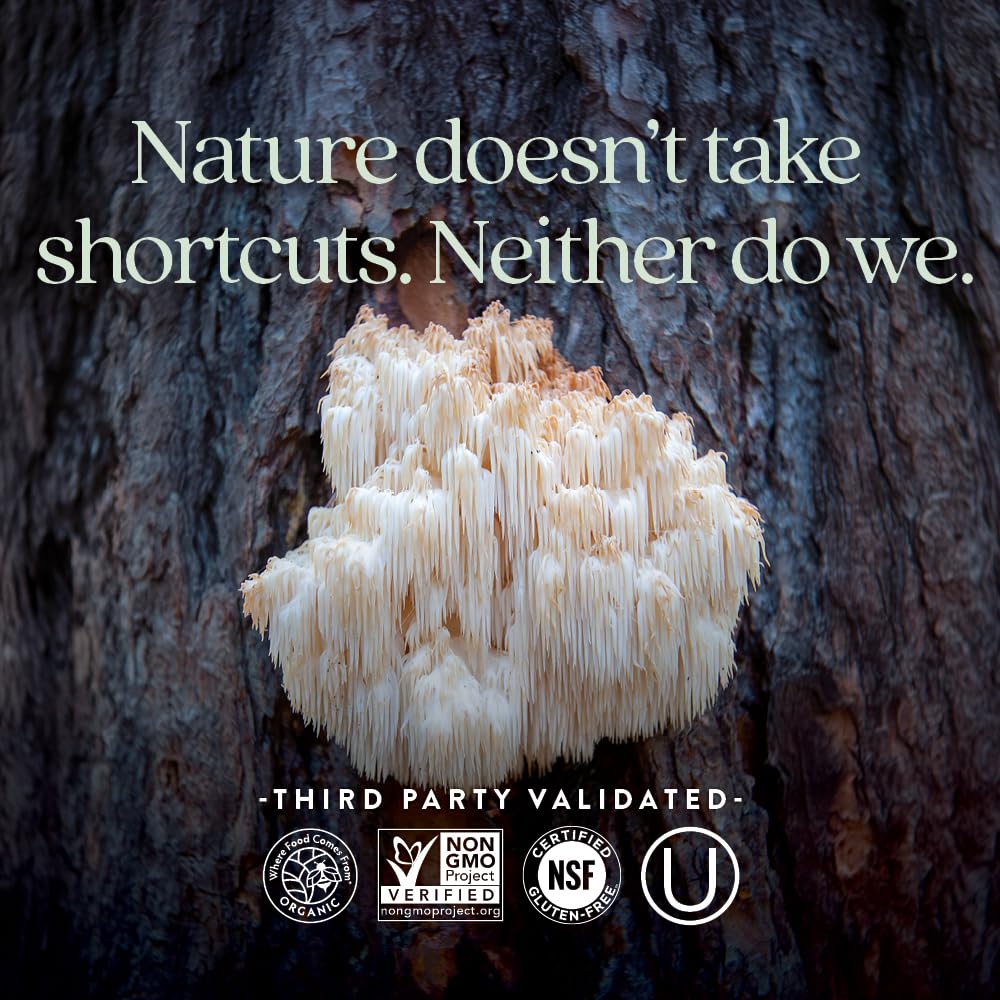 New Chapter Lion's Mane + Reishi Mushroom - LifeShield Mind Force for Mental Clarity with Organic Reishi Mushroom + Vegan + Non-GMO, Nootropic Ingredients - 60 ct - Image 5