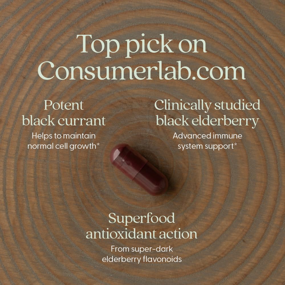 New Chapter Vegan Elderberry Capsules with 64x Concentrated Black Elderberry + Black Currant for Comprehensive Immune Support, Non-GMO Project Verified, Gluten Free, Certified Vegan, 30 Count - Image 3